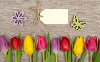 Картинка цветы, colorful, romantic, flowers, spring, тюльпаны, love, tulips