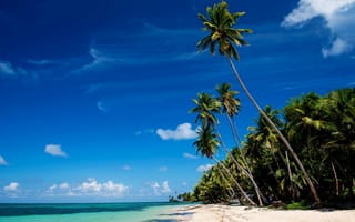 Картинка Little Corn Island, тропики, пляж, песок, пальмы, море