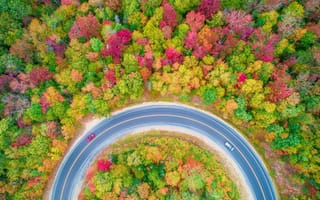 Картинка лес, дорога, машины, природа, деревья, вид сверху, осень