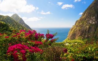 Картинка Вест Индия, вид, скалы, кусты, цветы, природа, остров, пейзаж, зелень, море