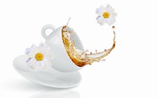 Картинка чашка, spray, Cup, хризантемы, чай, брызги, цветы, flowers, chrysanthemums, tea