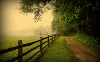 Картинка туман, США, Pennsylvania, USA, природа, забор, дорога, Пенсильвания, деревья
