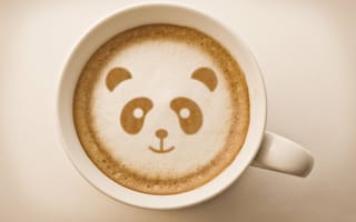 Картинка кофе, панда, рисунок, пенка, кружка
