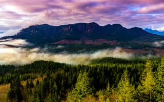 Картинка штат Орегон, пейзаж, лес, туман, США, деревья, горы
