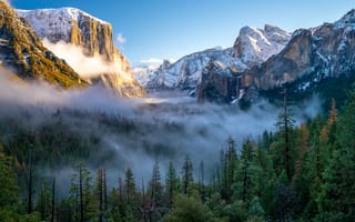 Картинка горы, туман, деревья, солнце, Природа