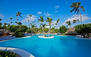 Картинка exterior, palms, pool, бунгало, лежаки, бассейн, пальмы