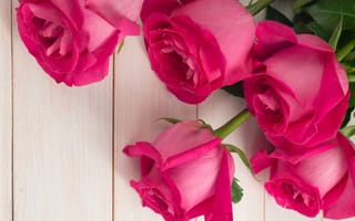 Картинка цветы, розы, букет, pink, roses, flowers, розовые, бутоны