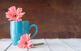 Картинка цветы, кружка, mug, flowers, wood, хризантемы, pink