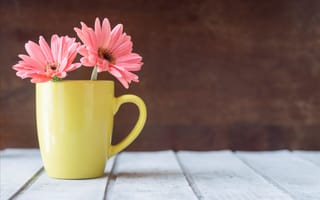 Картинка цветы, кружка, хризантемы, flowers, mug, wood, pink