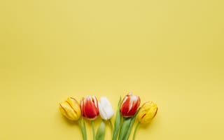 Картинка тюльпаны, желтый, цветы, букет