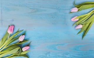 Картинка цветы, тюльпаны, fresh, wood, pink, flowers, tulips, розовые