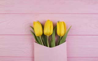Картинка цветы, букет, tender, pink, tulips, тюльпаны, wood, конверт, yellow, желтые, flowers, fresh, spring
