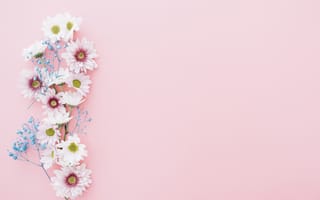 Картинка цветы, composition, floral, flowers, хризантемы, композиция, pink