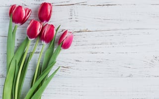 Картинка розовые, wood, spring, fresh, цветы, pink, flowers, тюльпаны, tulips