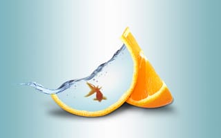 Картинка апельсин, вода, золотая рыбка