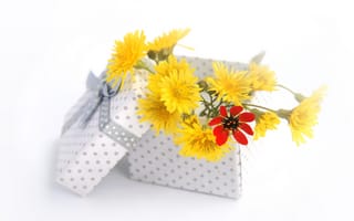 Картинка букет, коробка, подарок, цветы