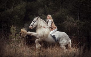 Картинка девушка, наездница, блондинка, лошадь