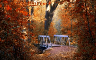 Картинка природа, деревья, листья, мостик, осень