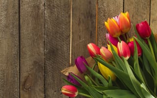 Картинка цветы, яркие, spring, wood, tulips, flowers, букет, colorful, весна, fresh, тюльпаны, bright