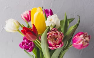 Картинка цветы, tulips, colorful, яркие, flowers, fresh, spring, bright, весна, тюльпаны, букет