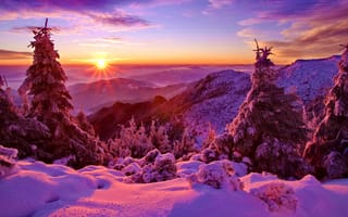 Картинка небо, снег, зима, деревья, закат, горы, лес, ель