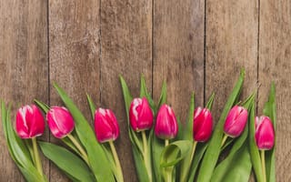 Картинка цветы, тюльпаны, розовые, tulips, fresh, wood, flowers, pink