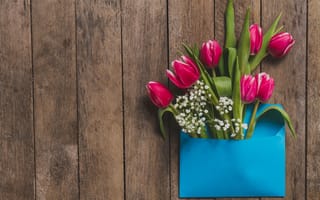 Картинка цветы, тюльпаны, wood, spring, pink, tulips, розовые, flowers, fresh