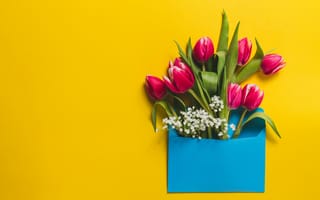 Обои цветы, tulips, розовые, fresh, pink, тюльпаны, flowers, spring