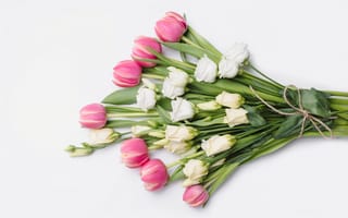 Картинка цветы, розы, flowers, pink, roses, букет, белые, romantic, тюльпаны, fresh, розовые, tender, white, tulips, бутоны, wood