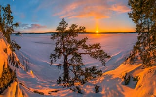 Картинка закат, Россия, зима, Ладога, Ладожское озеро, озеро, Карелия, сугробы, сосна, снег, деревья