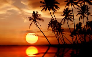 Картинка tropical, пальмы, sea, sunset, тропики, закат, beach, солнце, море, palms, пляж, paradise