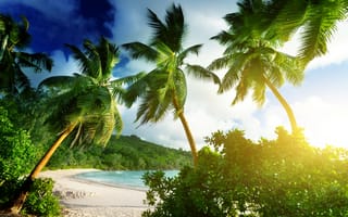 Картинка beach, Mahe island, Seychelles, пляж, tropical, тропики, пальмы, море, ocean, palms, Takamaka beach, summer, sunshine, sea, vacation, песок, берег, paradise