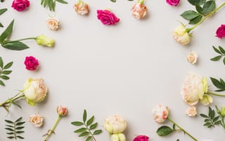 Картинка листья, цветы, розы