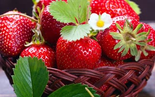 Обои strawberry, berries, клубника, корзинка, fresh, ягоды
