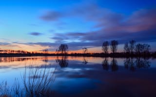 Картинка отражение, берег, река, деревья, закат, гладь, вода, небо, Нидерланды, вечер, облака