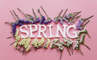 Картинка цветы, spring, pink, весна, flowers