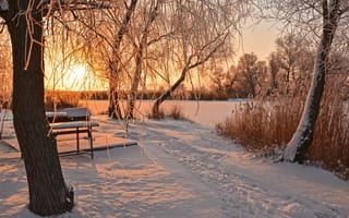 Картинка следы, снег, зима, скамейка, солнце, деревья