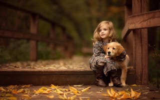 Картинка листья, осень, щенок, ретривер, девочка, мост