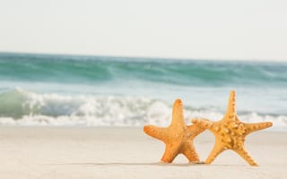 Картинка песок, море, пляж, love, звезда, beach, sea, summer, sand, пара, starfish