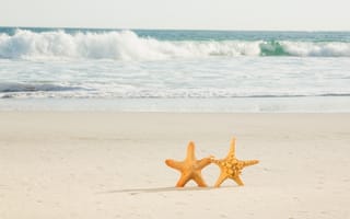 Картинка песок, море, sea, love, starfish, beach, пляж, summer, звезда, sand, пара