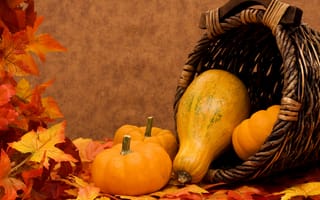 Картинка тыквы, корзина, осень, листья, овощи