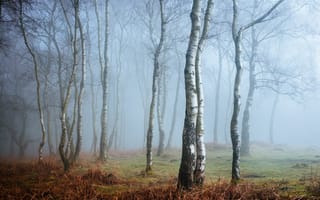Картинка Англия, туман, Peak District, Derbyshire