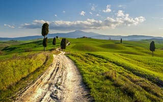 Картинка Тоскана, Италия, сельский пейзаж, холмы, дорога