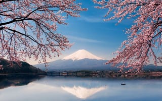 Картинка весна, Фудзияма, гора Фуджи, Япония, лодка, сакура, вода, цветы, озеро