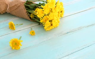 Картинка цветы, букет, желтые, yellow, весна, wood, flowers, хризантемы