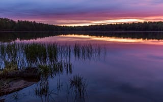 Картинка берег, небо, трава, вечер, река, деревья, Пенсильвания, Национальный Парк, закат, отражение, лес, США