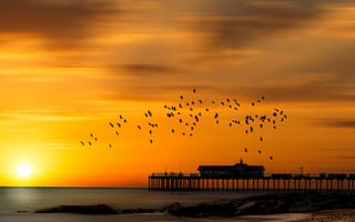 Картинка море, птицы, ночь, мост