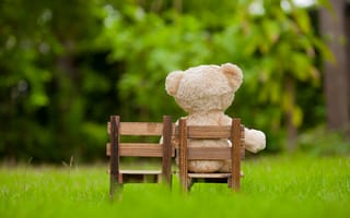 Картинка трава, bear, стул, teddy, медведь, garden, игрушка, lonely, одинокий, сад