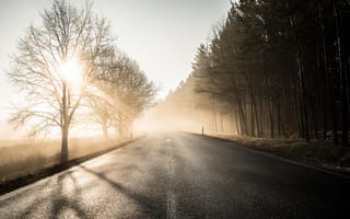 Картинка дорога, утро, туман