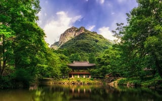 Картинка гора, природа, деревья, озеро, Китай, мост, лес